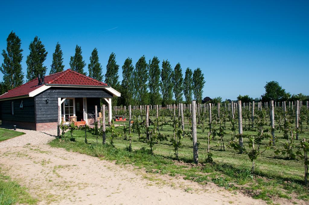 Hotel Park Nieuwgrapendaal Terwolde Zewnętrze zdjęcie